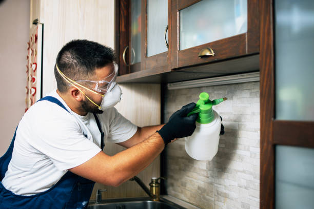 Best Ant Control Services  in Secy, AR