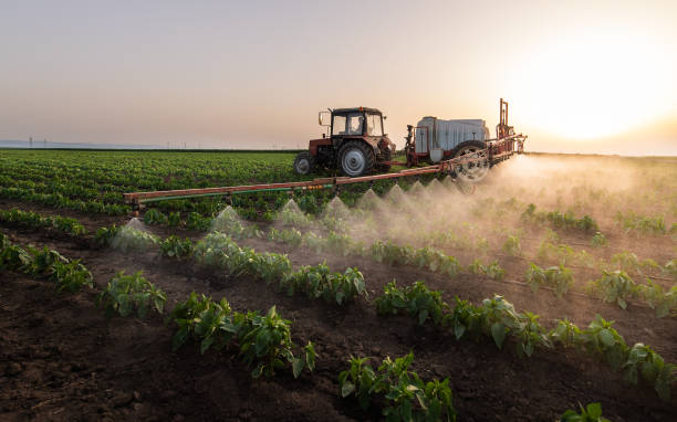 Best Pest Removal Services  in Secy, AR