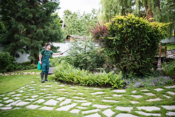 Best Pest Prevention Services  in Secy, AR