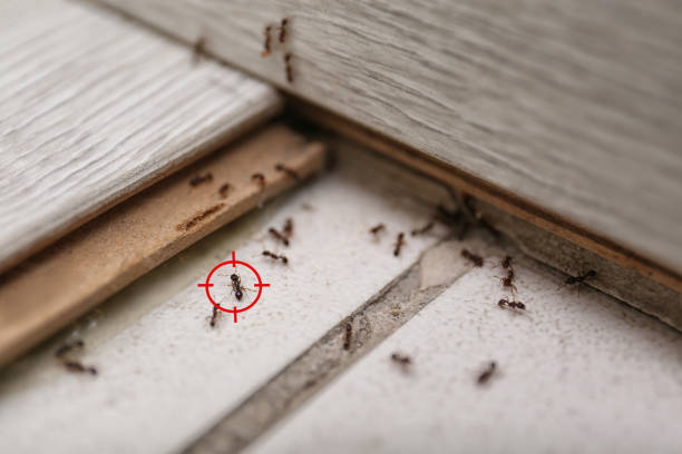 Best Pest Inspection Near Me  in Secy, AR