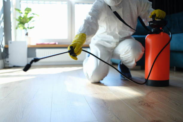 Best Wasp Removal Services  in Secy, AR