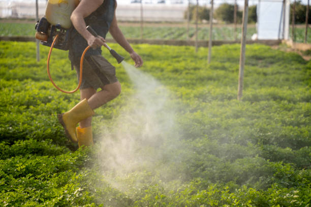 Professional Pest Control in Searcy, AR