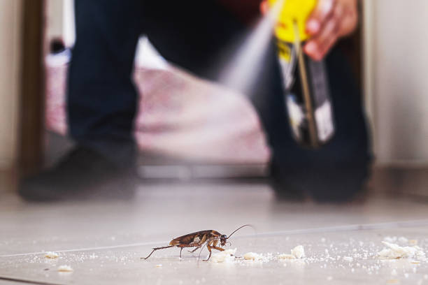 Best Bed Bug Extermination  in Secy, AR