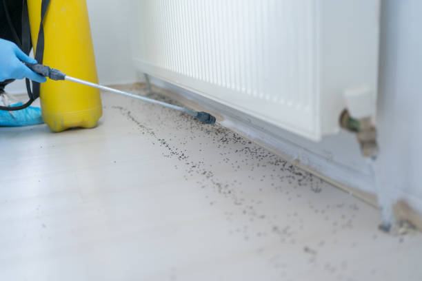 Best Best Pest Control Companies  in Secy, AR