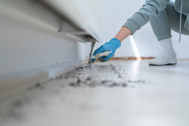 Best Affordable Pest Control Services  in Secy, AR